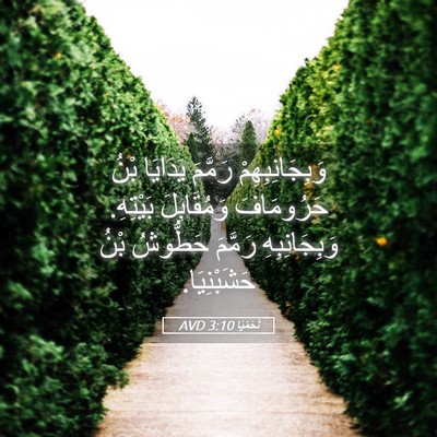 Picture 05 - نَحَمْيَا 3:10 AVD - وَبِجَانِبِهِمْ رَمَّمَ - Bible Verse Picture