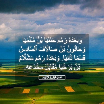 Picture 05 - نَحَمْيَا 3:30 AVD - وَبَعْدَهُ رَمَّمَ - Bible Verse Picture