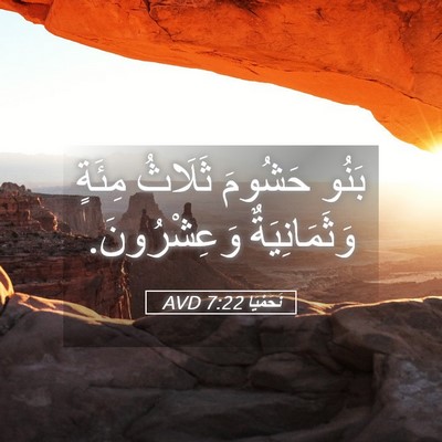 Picture 05 - نَحَمْيَا 7:22 AVD - بَنُو حَشُومَ ثَلَاثُ - Bible Verse Picture