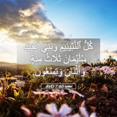 Picture 05 - نَحَمْيَا 7:60 AVD - كُلُّ ٱلنَّثِينِيمِ - Bible Verse Picture
