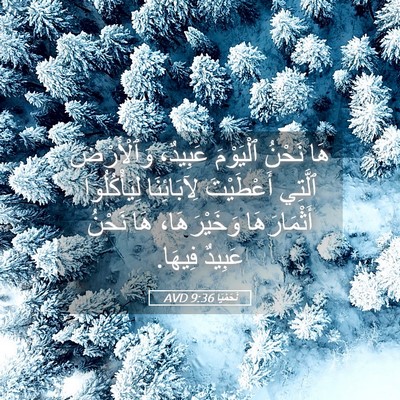 Picture 05 - نَحَمْيَا 9:36 AVD - هَا نَحْنُ ٱلْيَوْمَ - Bible Verse Picture