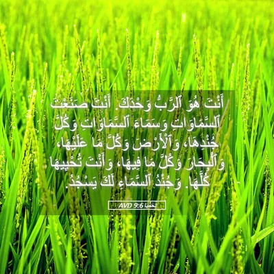 Picture 05 - نَحَمْيَا 9:6 AVD - أَنْتَ هُوَ ٱلرَّبُّ - Bible Verse Picture