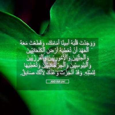 Picture 05 - نَحَمْيَا 9:8 AVD - وَوَجَدْتَ قَلْبَهُ - Bible Verse Picture