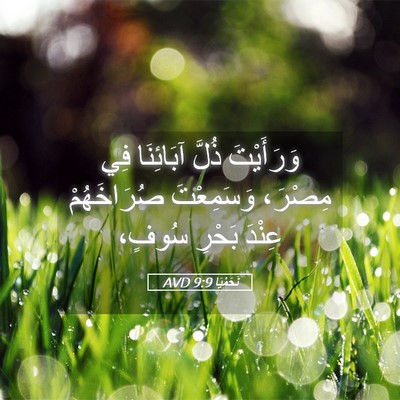 Picture 05 - نَحَمْيَا 9:9 AVD - وَرَأَيْتَ ذُلَّ - Bible Verse Picture