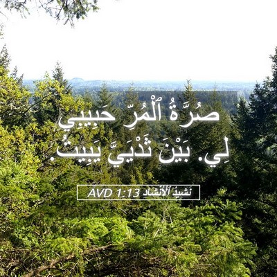 Picture 05 - نَشِيدُ ٱلْأَنْشَادِ 1:13 AVD - صُرَّةُ ٱلْمُرِّ حَبِيبِي - Bible Verse Picture