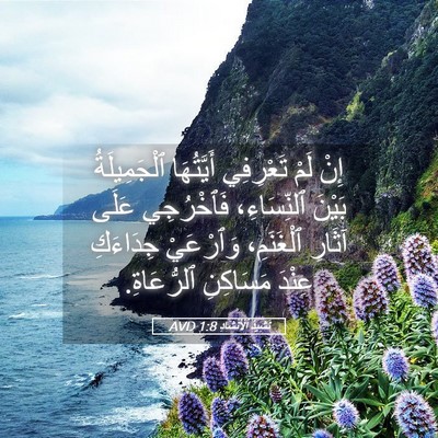 Picture 05 - نَشِيدُ ٱلْأَنْشَادِ 1:8 AVD - إِنْ لَمْ تَعْرِفِي - Bible Verse Picture