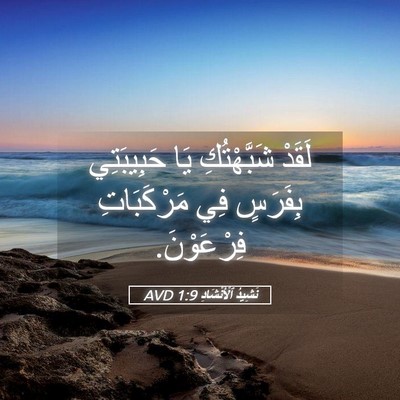 Picture 05 - نَشِيدُ ٱلْأَنْشَادِ 1:9 AVD - لَقَدْ شَبَّهْتُكِ يَا - Bible Verse Picture