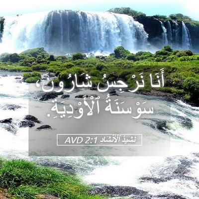 Picture 05 - نَشِيدُ ٱلْأَنْشَادِ 2:1 AVD - أَنَا نَرْجِسُ شَارُونَ، - Bible Verse Picture