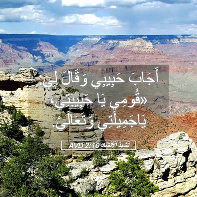 Picture 05 - نَشِيدُ ٱلْأَنْشَادِ 2:10 AVD - أَجَابَ حَبِيبِي وَقَالَ - Bible Verse Picture