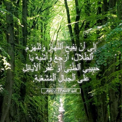 Picture 05 - نَشِيدُ ٱلْأَنْشَادِ 2:17 AVD - إِلَى أَنْ يَفِيحَ - Bible Verse Picture