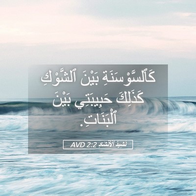Picture 05 - نَشِيدُ ٱلْأَنْشَادِ 2:2 AVD - كَٱلسَّوْسَنَةِ بَيْنَ - Bible Verse Picture