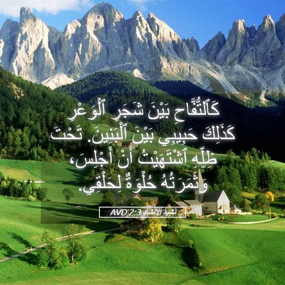 Picture 05 - نَشِيدُ ٱلْأَنْشَادِ 2:3 AVD - كَٱلتُّفَّاحِ بَيْنَ - Bible Verse Picture