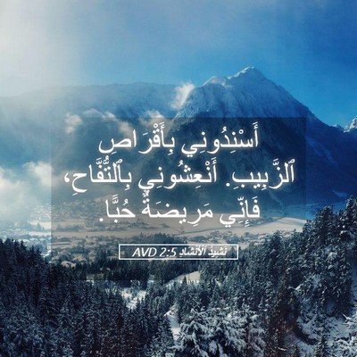 Picture 05 - نَشِيدُ ٱلْأَنْشَادِ 2:5 AVD - أَسْنِدُونِي بِأَقْرَاصِ - Bible Verse Picture