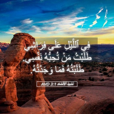 Picture 05 - نَشِيدُ ٱلْأَنْشَادِ 3:1 AVD - فِي ٱللَّيْلِ عَلَى - Bible Verse Picture