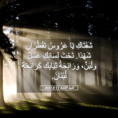 Picture 05 - نَشِيدُ ٱلْأَنْشَادِ 4:11 AVD - شَفَتَاكِ يَا عَرُوسُ - Bible Verse Picture