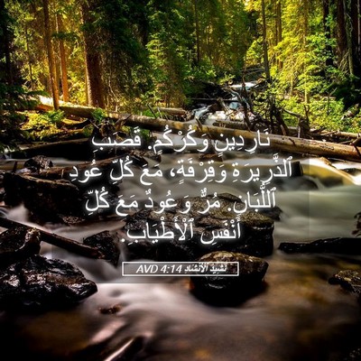 Picture 05 - نَشِيدُ ٱلْأَنْشَادِ 4:14 AVD - نَارِدِينٍ وَكُرْكُمٍ. - Bible Verse Picture