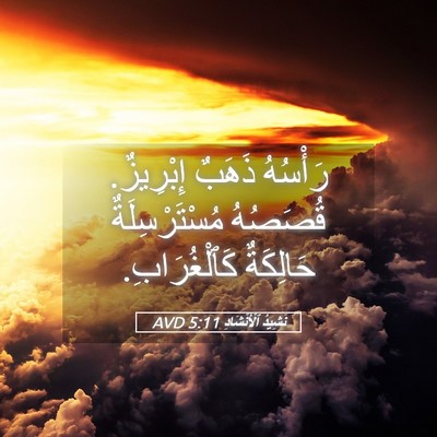 Picture 05 - نَشِيدُ ٱلْأَنْشَادِ 5:11 AVD - رَأْسُهُ ذَهَبٌ إِبْرِيزٌ. - Bible Verse Picture