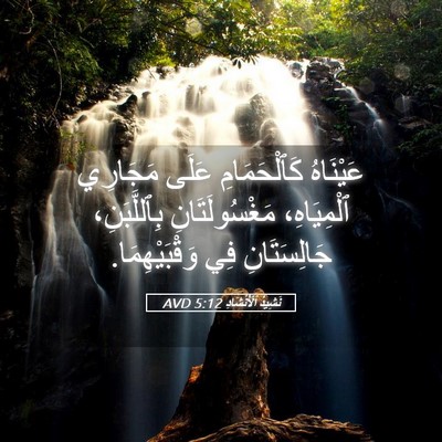 Picture 05 - نَشِيدُ ٱلْأَنْشَادِ 5:12 AVD - عَيْنَاهُ كَٱلْحَمَامِ - Bible Verse Picture