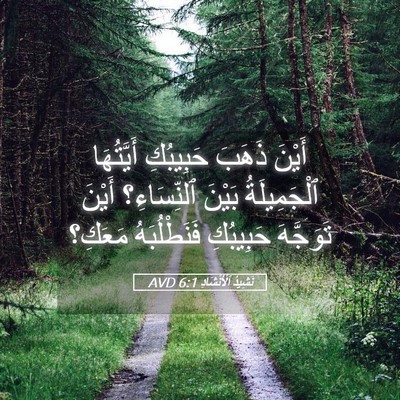 Picture 05 - نَشِيدُ ٱلْأَنْشَادِ 6:1 AVD - أَيْنَ ذَهَبَ حَبِيبُكِ - Bible Verse Picture