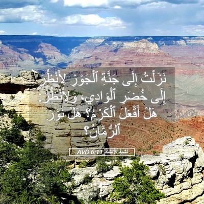 Picture 05 - نَشِيدُ ٱلْأَنْشَادِ 6:11 AVD - نَزَلْتُ إِلَى جَنَّةِ - Bible Verse Picture