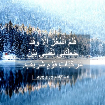 Picture 05 - نَشِيدُ ٱلْأَنْشَادِ 6:12 AVD - فَلَمْ أَشْعُرْ إِلَّا - Bible Verse Picture