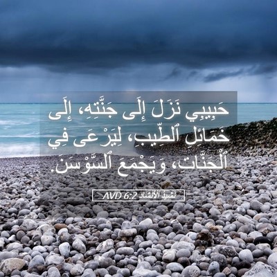 Picture 05 - نَشِيدُ ٱلْأَنْشَادِ 6:2 AVD - حَبِيبِي نَزَلَ إِلَى - Bible Verse Picture