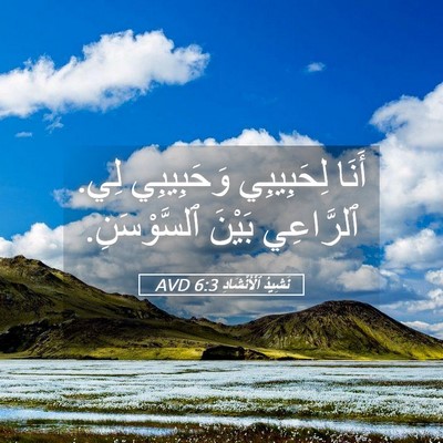Picture 05 - نَشِيدُ ٱلْأَنْشَادِ 6:3 AVD - أَنَا لِحَبِيبِي - Bible Verse Picture