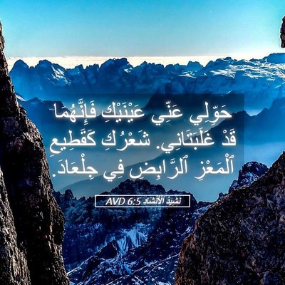 Picture 05 - نَشِيدُ ٱلْأَنْشَادِ 6:5 AVD - حَوِّلِي عَنِّي - Bible Verse Picture