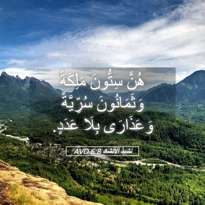 Picture 05 - نَشِيدُ ٱلْأَنْشَادِ 6:8 AVD - هُنَّ سِتُّونَ مَلِكَةً - Bible Verse Picture