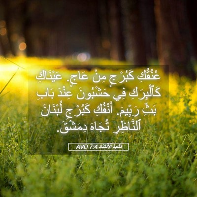 Picture 05 - نَشِيدُ ٱلْأَنْشَادِ 7:4 AVD - عُنُقُكِ كَبُرْجٍ مِنْ - Bible Verse Picture