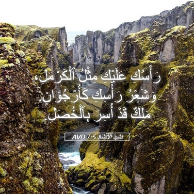 Picture 05 - نَشِيدُ ٱلْأَنْشَادِ 7:5 AVD - رَأْسُكِ عَلَيْكِ مِثْلُ - Bible Verse Picture