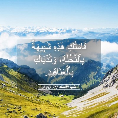 Picture 05 - نَشِيدُ ٱلْأَنْشَادِ 7:7 AVD - قَامَتُكِ هَذِهِ - Bible Verse Picture