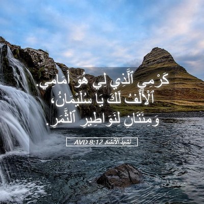 Picture 05 - نَشِيدُ ٱلْأَنْشَادِ 8:12 AVD - كَرْمِي ٱلَّذِي لِي هُوَ - Bible Verse Picture