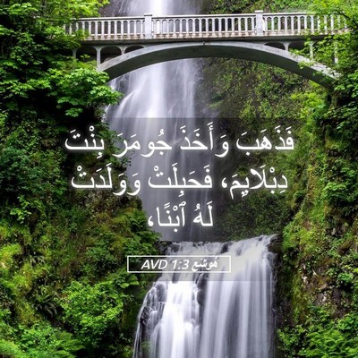 Picture 05 - هُوشَع 1:3 AVD - فَذَهَبَ وَأَخَذَ جُومَرَ - Bible Verse Picture