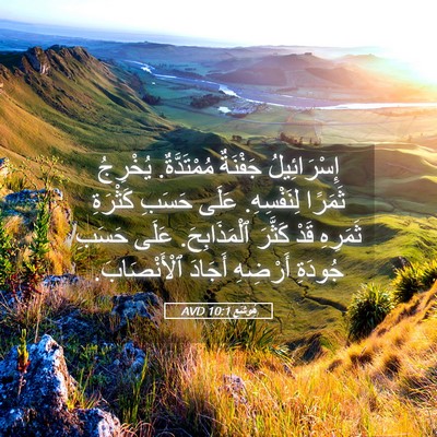 Picture 05 - هُوشَع 10:1 AVD - إِسْرَائِيلُ جَفْنَةٌ - Bible Verse Picture