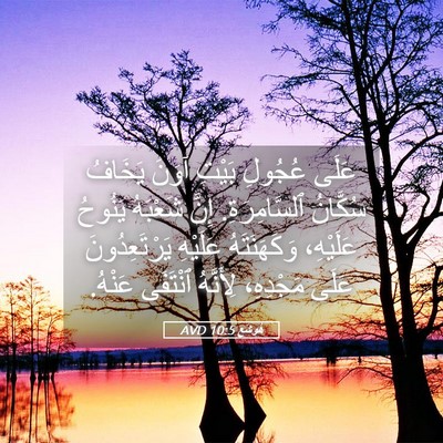 Picture 05 - هُوشَع 10:5 AVD - عَلَى عُجُولِ بَيْتِ آوَنَ - Bible Verse Picture