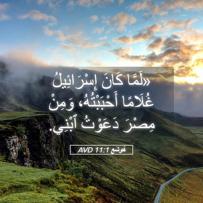 Picture 05 - هُوشَع 11:1 AVD - «لَمَّا كَانَ - Bible Verse Picture