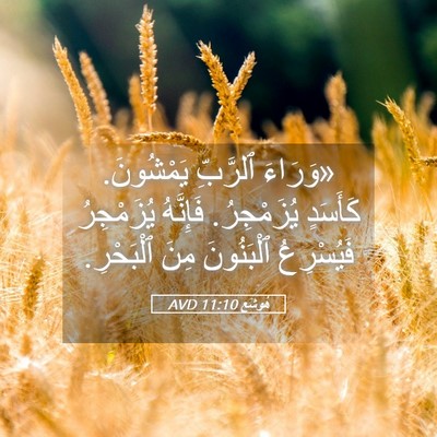 Picture 05 - هُوشَع 11:10 AVD - «وَرَاءَ ٱلرَّبِّ - Bible Verse Picture