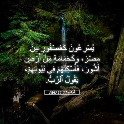 Picture 05 - هُوشَع 11:11 AVD - يُسْرِعُونَ كَعُصْفُورٍ - Bible Verse Picture