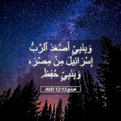 Picture 05 - هُوشَع 12:13 AVD - وَبِنَبِيٍّ أَصْعَدَ - Bible Verse Picture