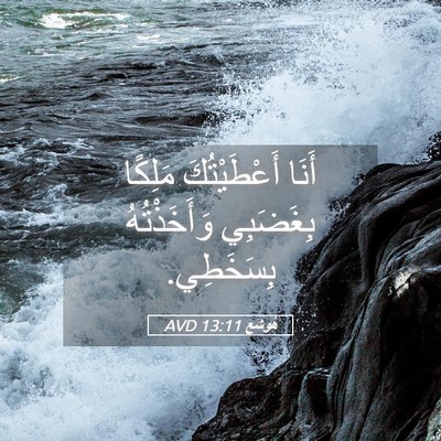 Picture 05 - هُوشَع 13:11 AVD - أَنَا أَعْطَيْتُكَ - Bible Verse Picture