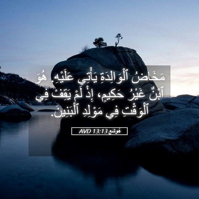 Picture 05 - هُوشَع 13:13 AVD - مَخَاضُ ٱلْوَالِدَةِ - Bible Verse Picture