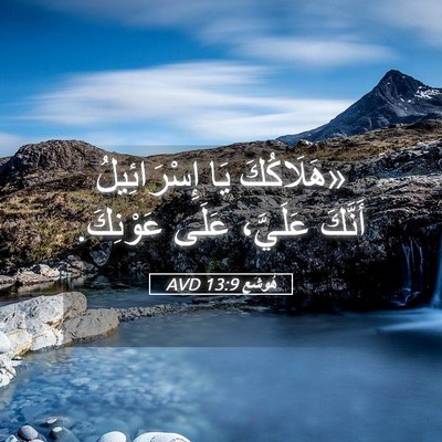 Picture 05 - هُوشَع 13:9 AVD - «هَلَاكُكَ يَا - Bible Verse Picture