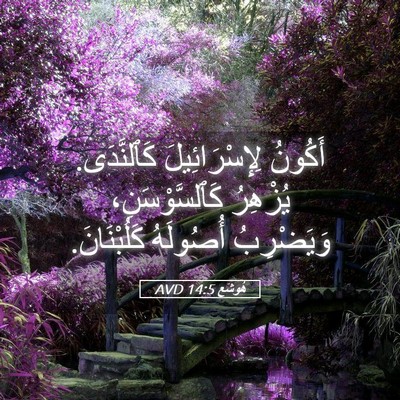 Picture 05 - هُوشَع 14:5 AVD - أَكُونُ لِإِسْرَائِيلَ - Bible Verse Picture