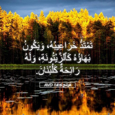 Picture 05 - هُوشَع 14:6 AVD - تَمْتَدُّ خَرَاعِيبُهُ، - Bible Verse Picture