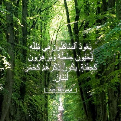 Picture 05 - هُوشَع 14:7 AVD - يَعُودُ ٱلسَّاكِنُونَ فِي - Bible Verse Picture