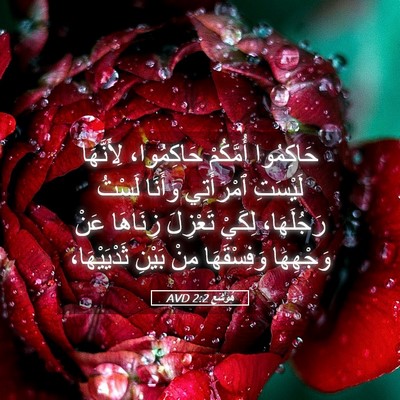 Picture 05 - هُوشَع 2:2 AVD - حَاكِمُوا أُمَّكُمْ - Bible Verse Picture