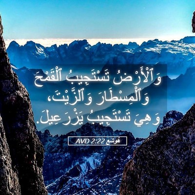 Picture 05 - هُوشَع 2:22 AVD - وَٱلْأَرْضُ تَسْتَجِيبُ - Bible Verse Picture