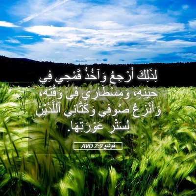 Picture 05 - هُوشَع 2:9 AVD - لِذَلِكَ أَرْجِعُ وَآخُذُ - Bible Verse Picture