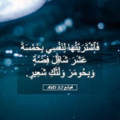 Picture 05 - هُوشَع 3:2 AVD - فَٱشْتَرَيْتُهَا - Bible Verse Picture